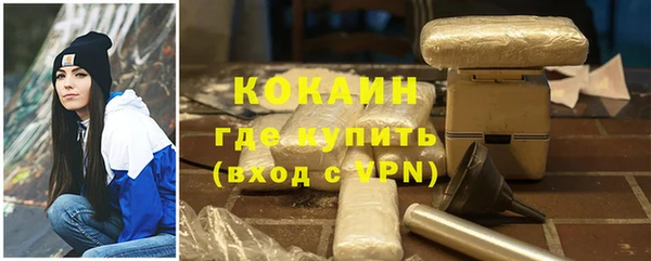 прущие грибы Заволжск