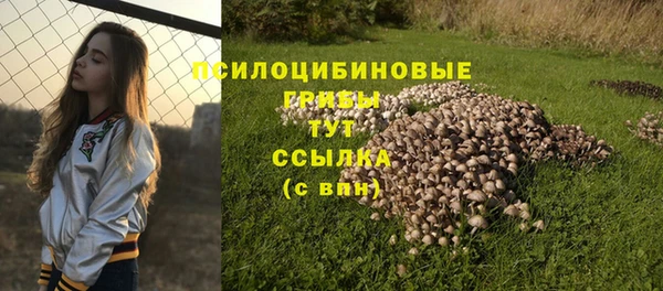 ALPHA-PVP Заводоуковск