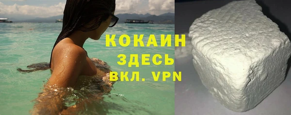 шишки Грязовец