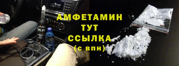 прущие грибы Заволжск