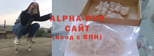 прущие грибы Заволжск