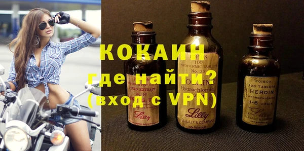 прущие грибы Заволжск
