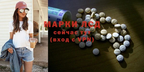 шишки Грязовец