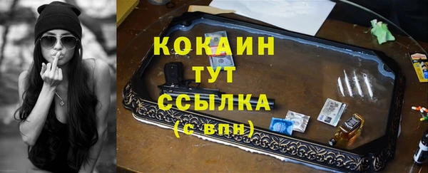 прущие грибы Заволжск