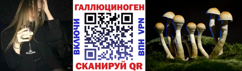 Псилоцибиновые грибы GOLDEN TEACHER  Заинск 