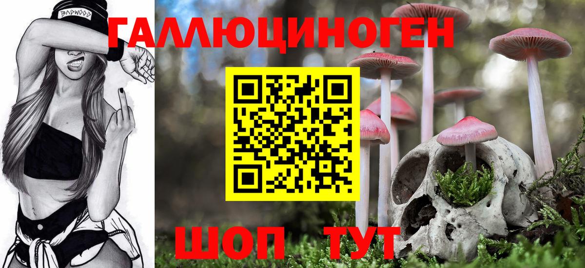Псилоцибиновые грибы GOLDEN TEACHER  Вход с VPN  Заинск 